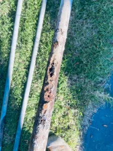 Galvanised-Pipe-Replacement